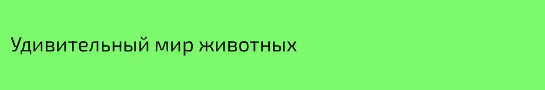 Удивительный мир животных